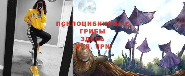 мескалин Медногорск
