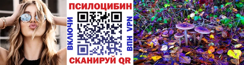 Псилоцибиновые грибы MAGIC MUSHROOMS  Болохово 