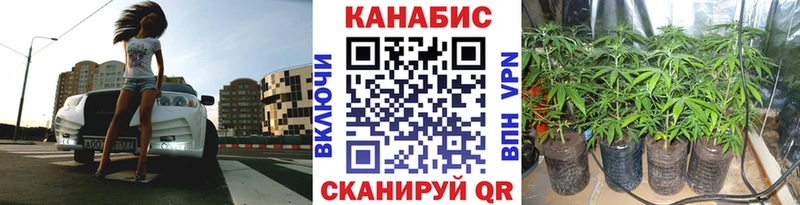 Канабис Bruce Banner  купить наркотик  Болохово 